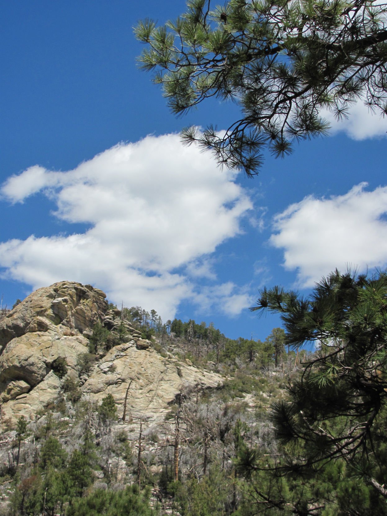 Palisade Trail